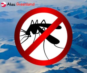The Mosquitoes in Greenland